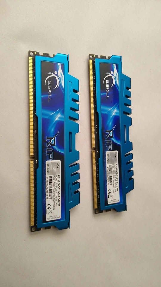 8gb ram (4gb x 2) G. Skill pc3 1700