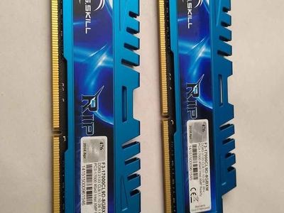 8gb ram (4gb x 2) G. Skill pc3 1700