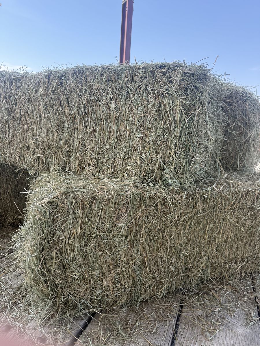 Small Bales - Grass Hay