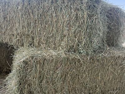 Small Bales - Grass Hay