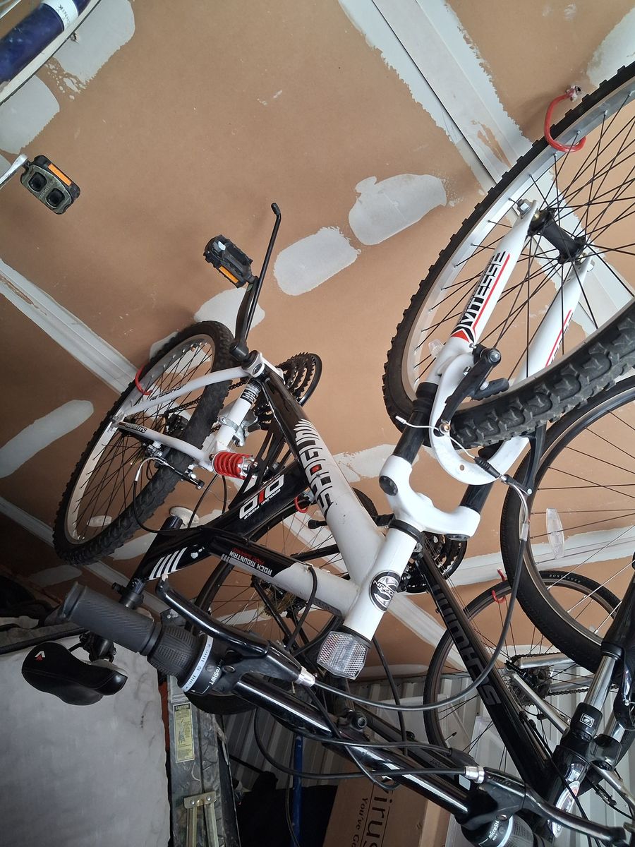 Shogun mountain bike