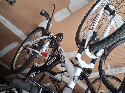 Shogun mountain bike