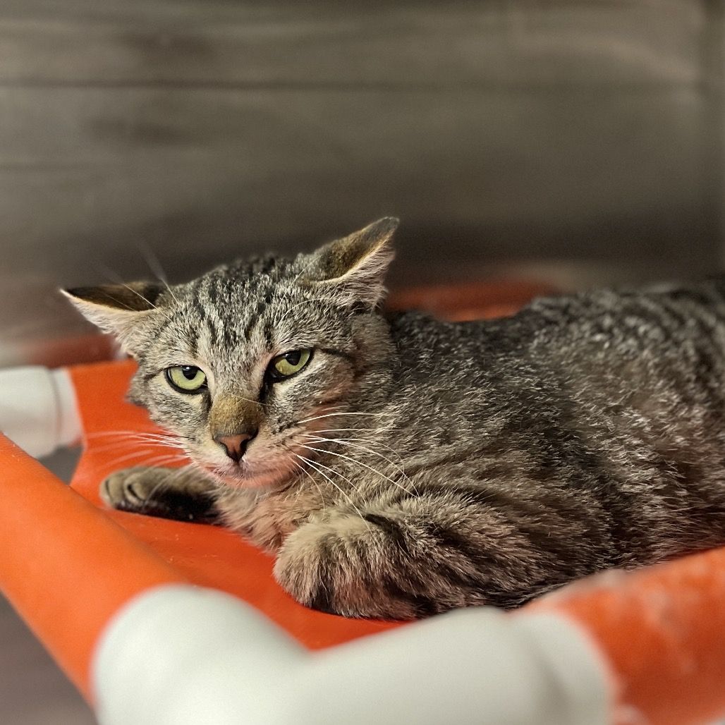 Hello my name is Vigna