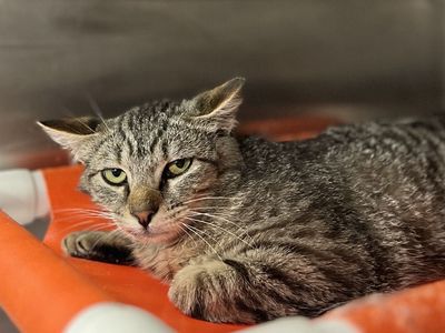 Hello my name is Vigna