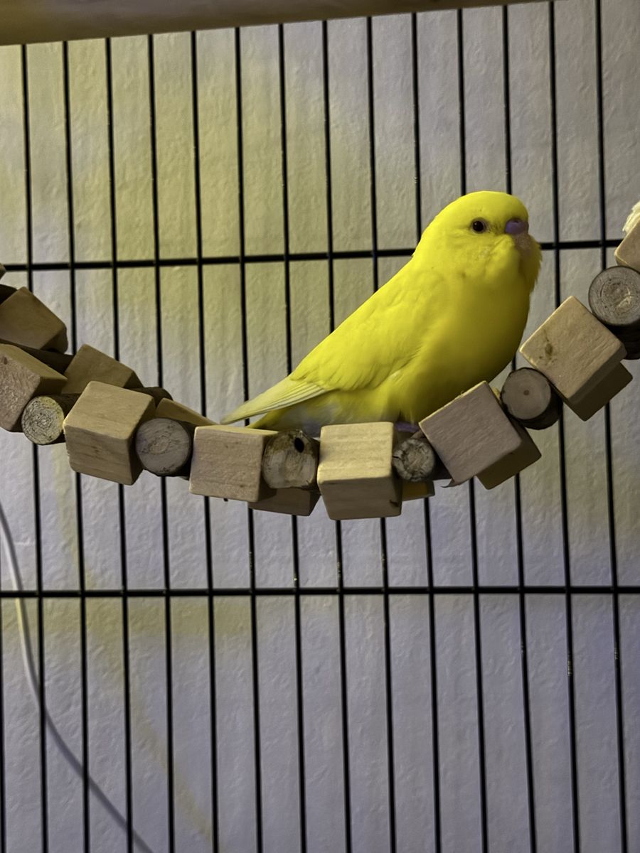 Main image 4