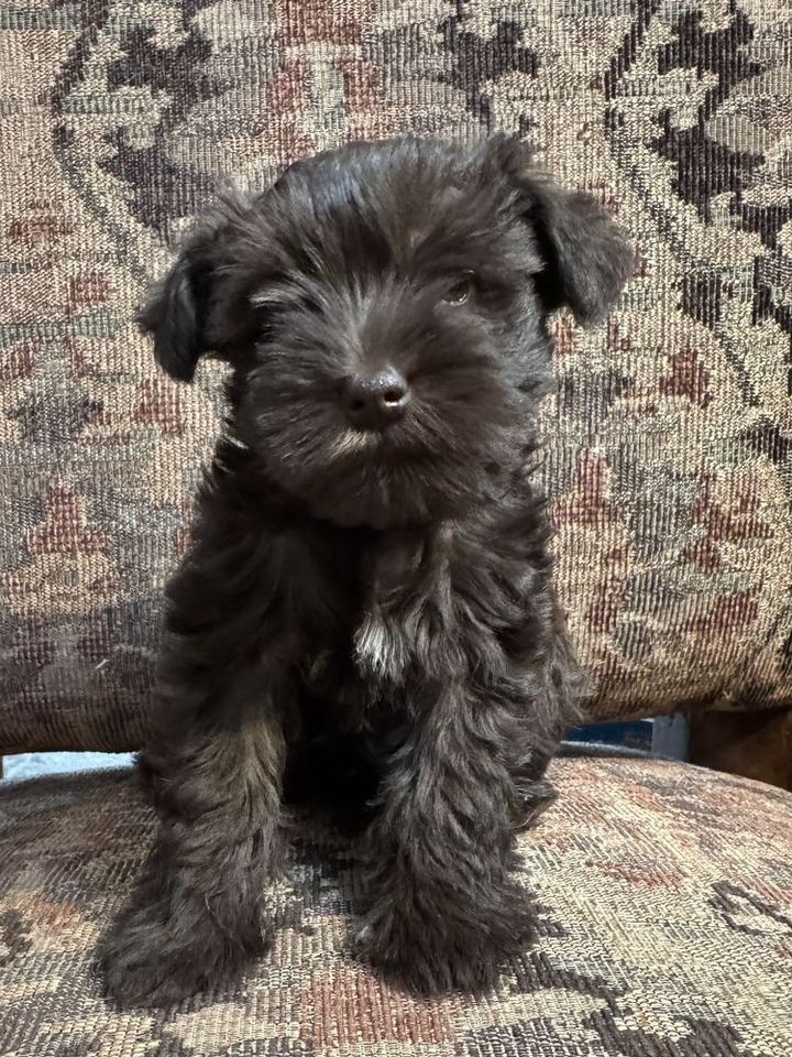 Main image 7
