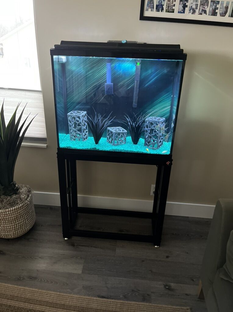 37 Gallon Aquarium, Master