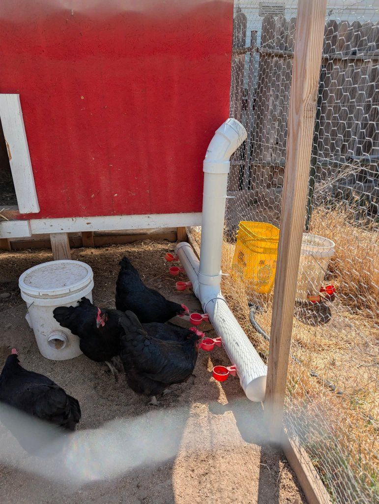 Charlotte Pipe & Foundry Co. PVC Chicken Waterer - DIY Feeder/Drinker System