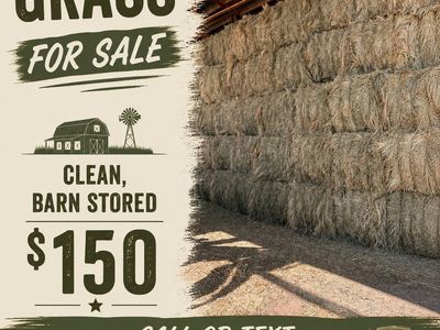 3x3 Grass Bales