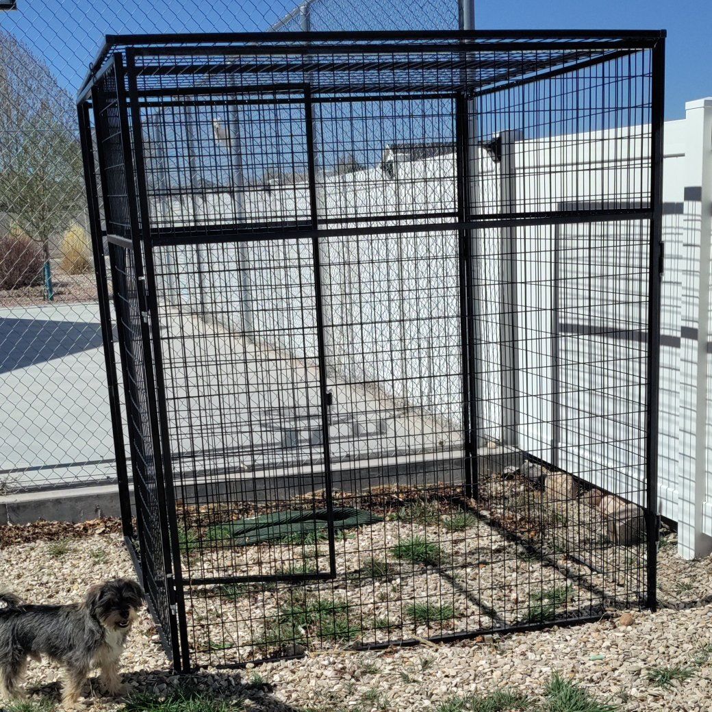 Canine Kennel Store | Welded Kennel