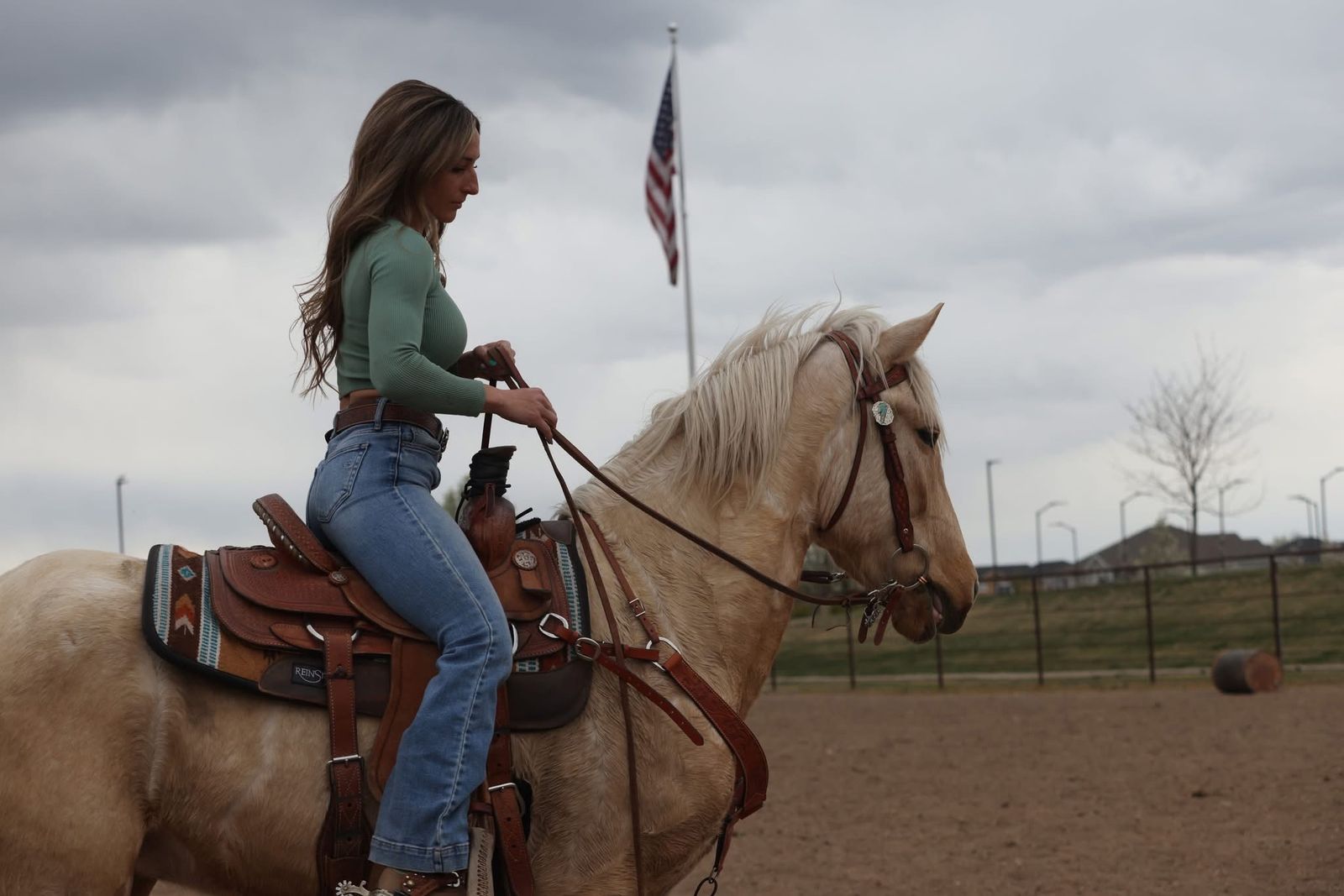 3yo Palomino Gelding