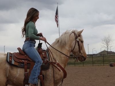 3yo Palomino Gelding