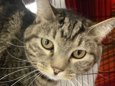 Hello my name is Kenner