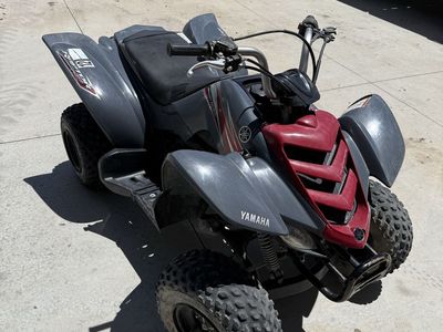 2008 Yamaha Raptor 50