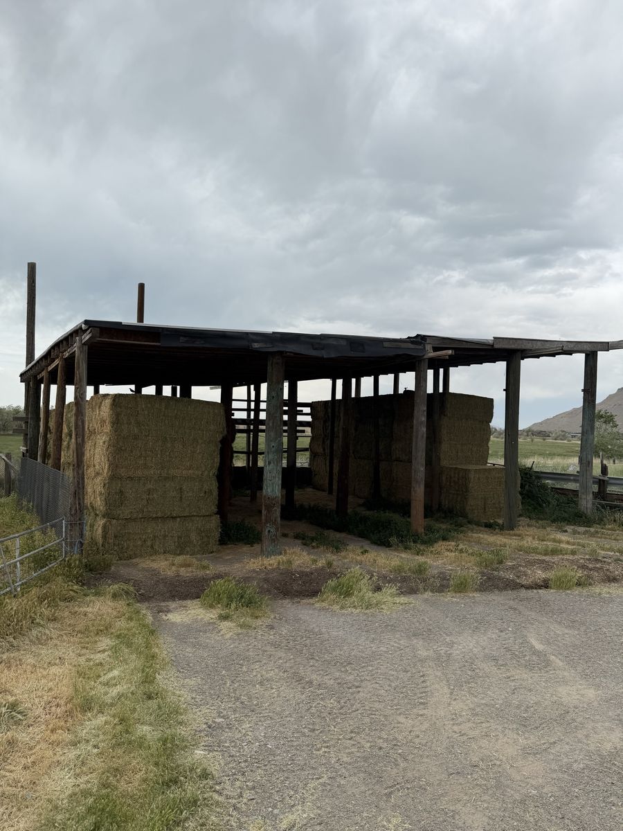 Alfalfa Hay for Sale