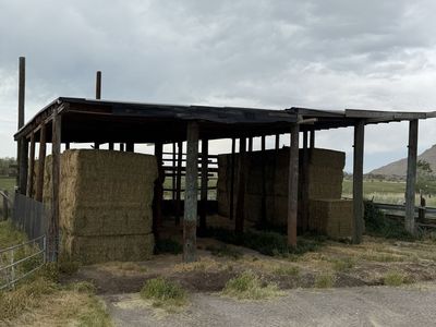Alfalfa Hay for Sale