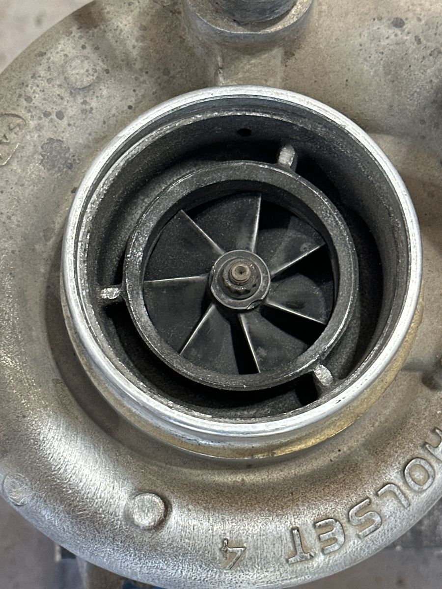 Main image 4
