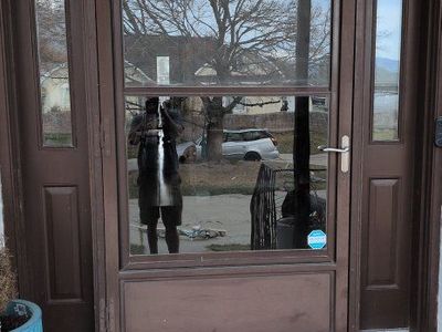 metal screen door with brushed, nickel handle