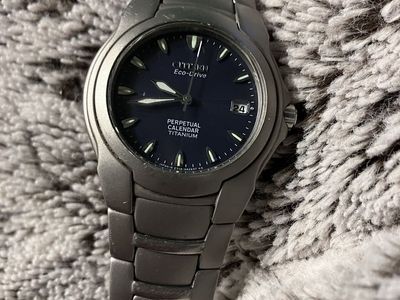 Citizen Eco-Drive Perpetual Calendar watch, Titanium E710