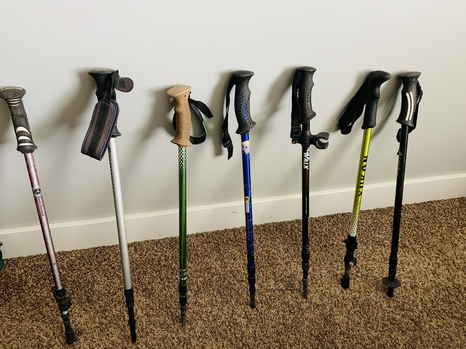 Hiking Poles | Assorted