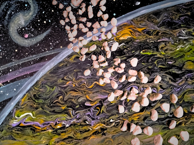 Asteroid Belt - 4 Canvas Prints