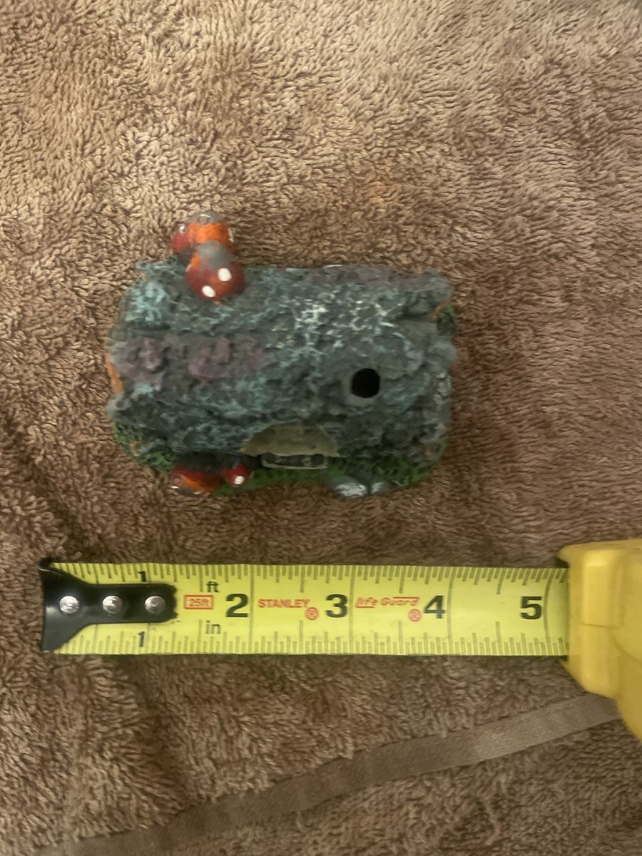 Main image 9
