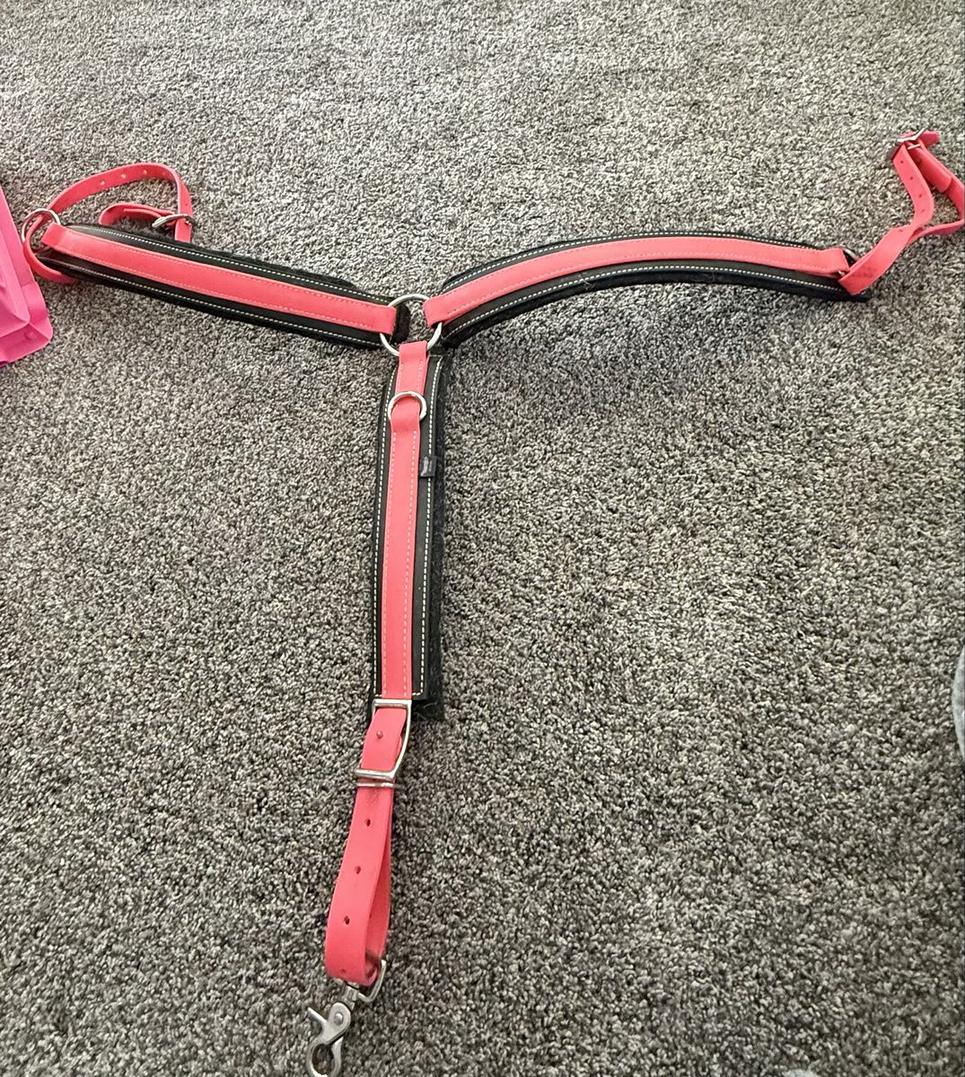 Pink breastcollar