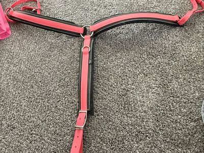 Pink breastcollar