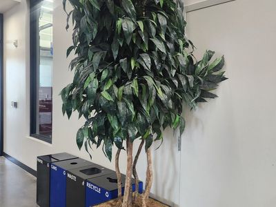 Artificial Ficus Tree 10ft