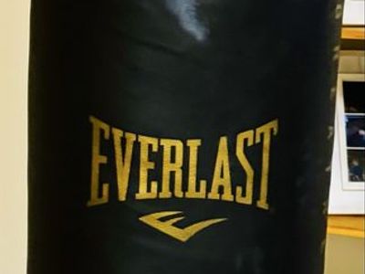 Everlast PowerCore Heavy Bag + Pro Hanging Bracket