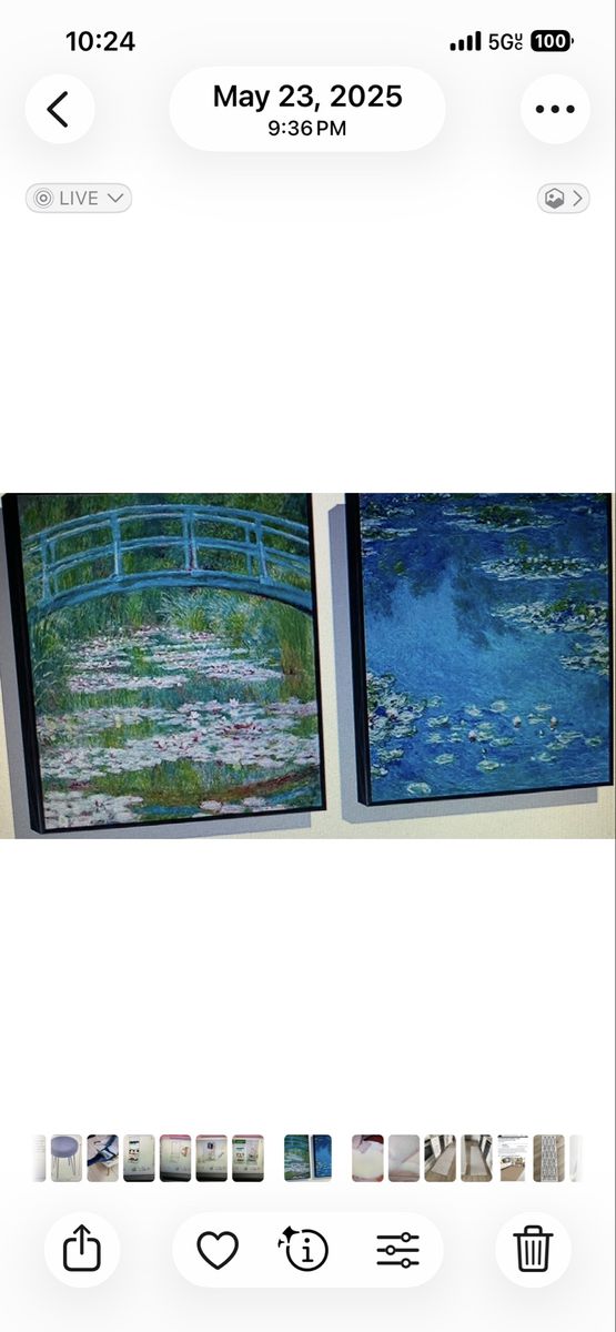 Floating wall Monet 2 pictures