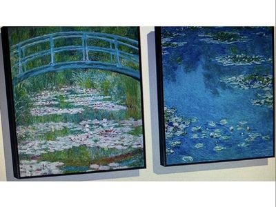 Floating wall Monet 2 pictures