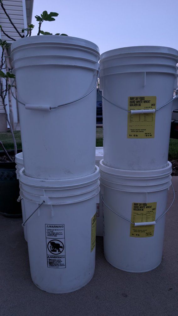 Six 45-lb. (5-gallon) buckets of wheat