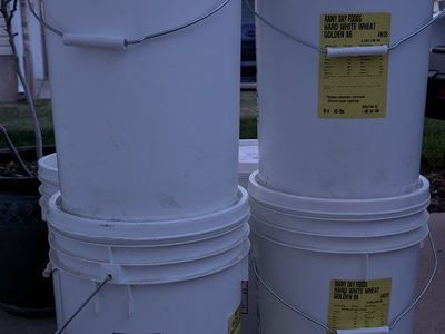Six 45-lb. (5-gallon) buckets of wheat