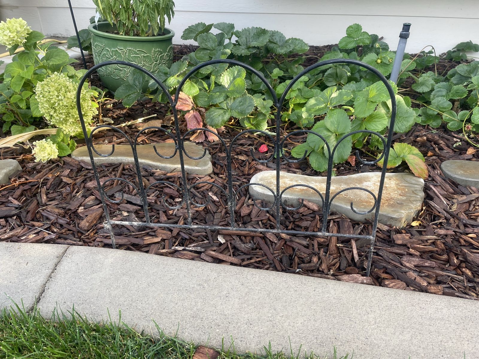 Small  Garden fencing