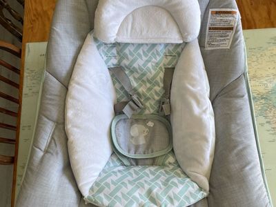 Baby Bouncer
