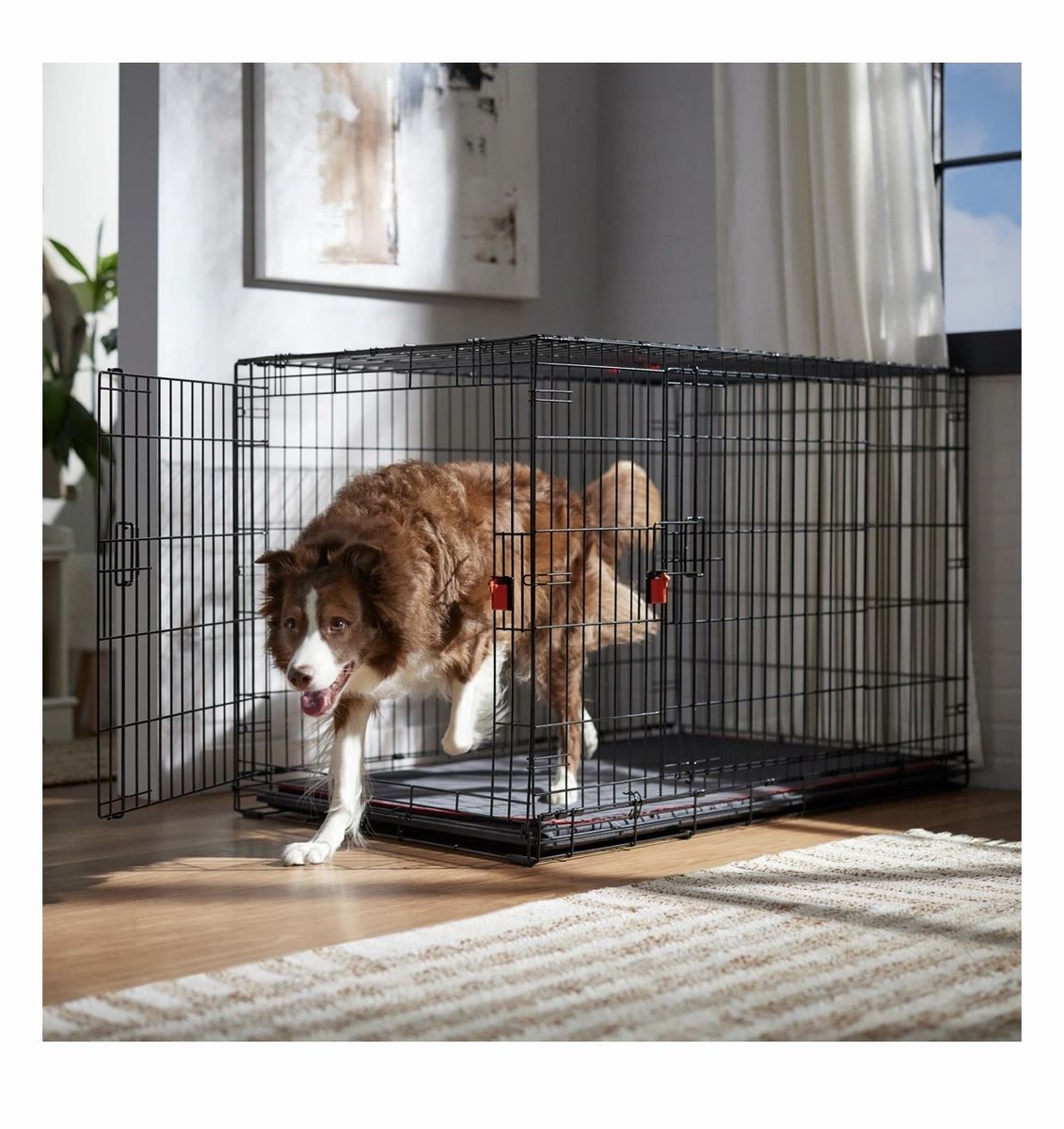 Dog Crate - L/XL