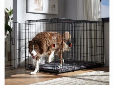 Dog Crate - L/XL