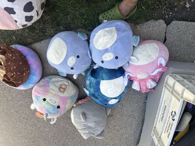 Assorted Squishmallows Plush Toy Lot - Various Characters & Colors, Used Condition