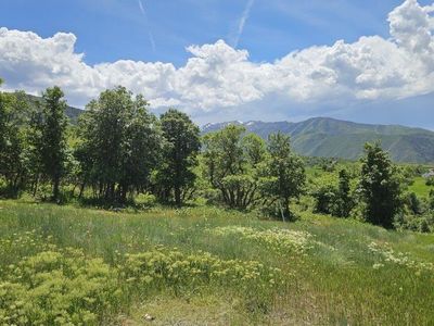 AWESOME SUMMIT CREEK / WOODLAND HILLS VIEW LOT