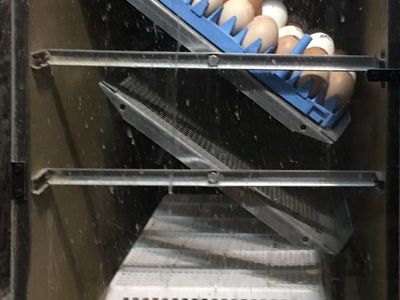 Incubator Rentals 30 Days (12.5% of Retail Prices)