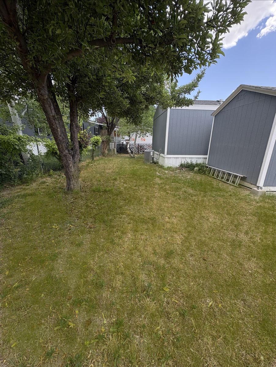 Main image 12