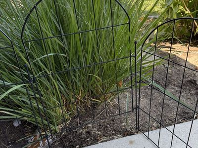 Garden fencing