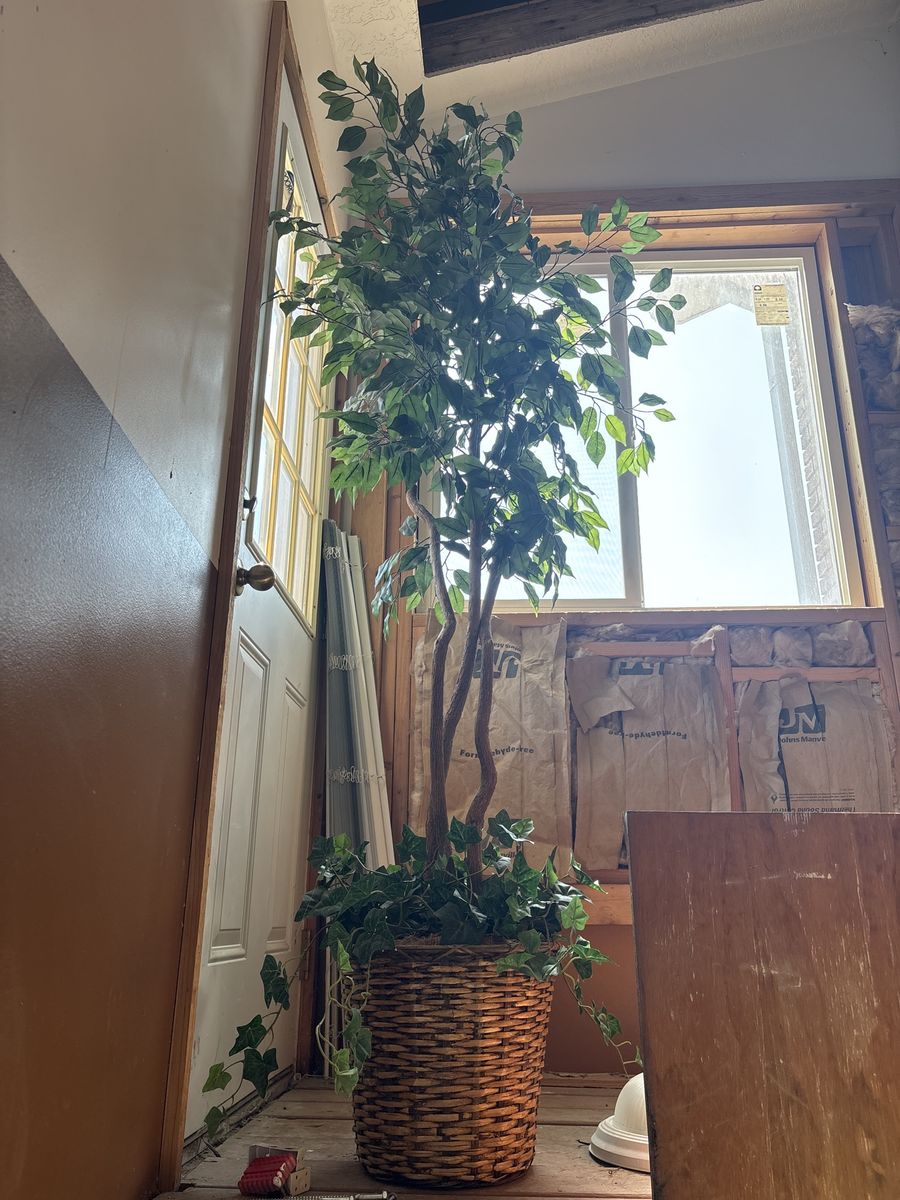 2 different silk trees for sale.  $85 Large Artificial Ficus Tree in Decorative Square Planter - Lifelike Faux Plant Deco