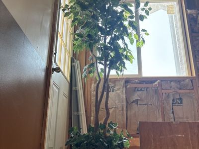 2 different silk trees for sale. $85 Large Artificial Ficus Tree in Decorative Square Planter - Lifelike Faux Plant Deco