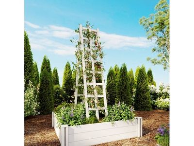 Vita Classic 14" L x 68" H Ladder Garden Trellis