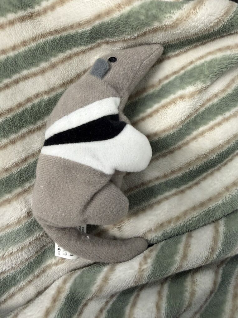 Antsy The Anteater 1993 Teeny BeanIe Baby