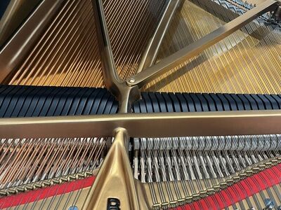 7' Steinway B Grand Piano