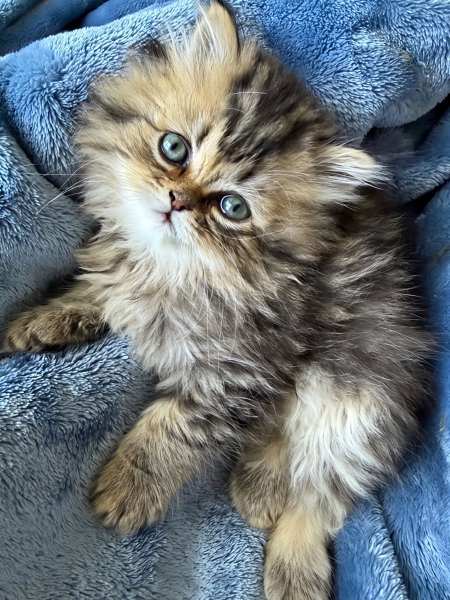 Main image 3
