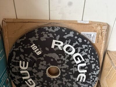 New Rogue Fitness Fleck 10 Pound Bumper Plate Pair